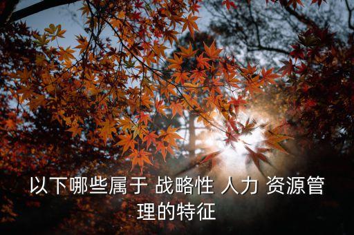 以下哪些屬于 戰略性 人力 資源管理的特征