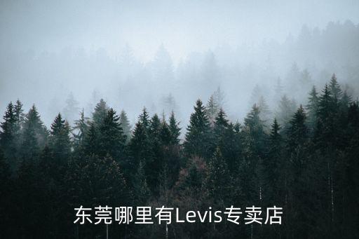 東莞哪里有Levis專賣店