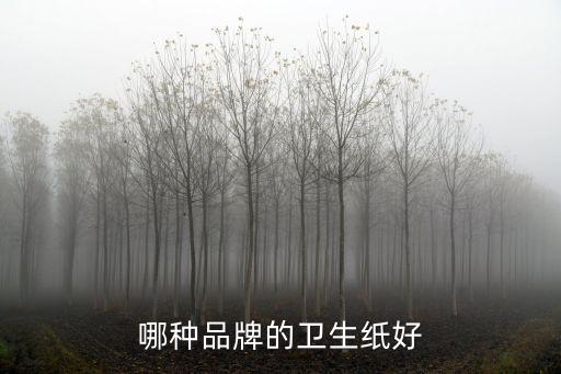 衛(wèi)生紙品牌，紙巾有哪些品牌