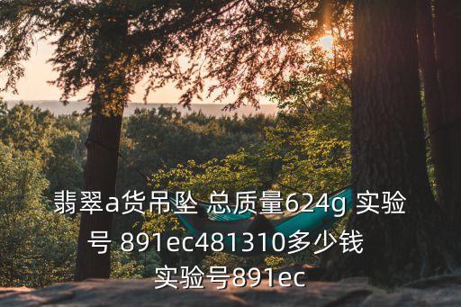 翡翠a貨吊墜 總質量624g 實驗號 891ec481310多少錢 實驗號891ec