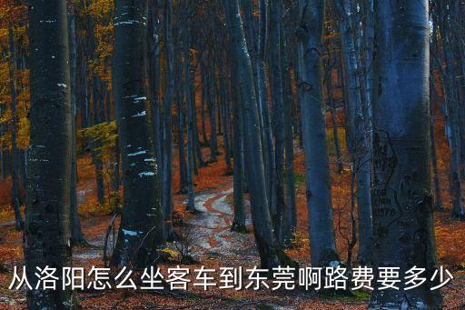 洛陽去東莞大巴，從洛陽到東莞北冊的大巴在哪里能找到