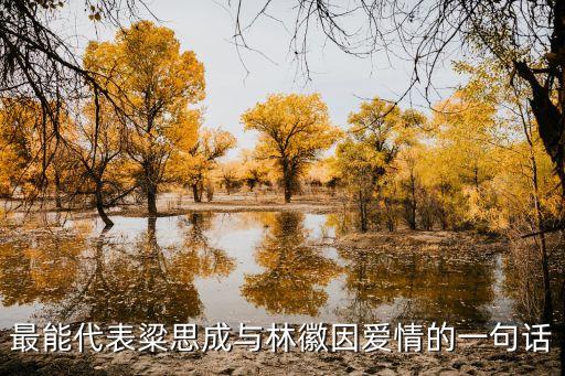 最能代表粱思成與林徽因愛情的一句話