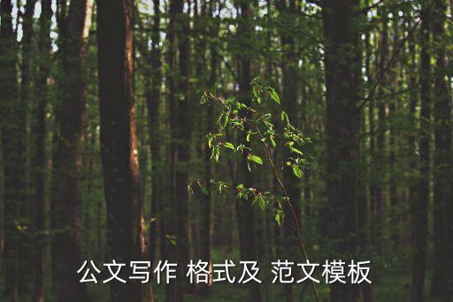 公文寫作 格式及 范文模板