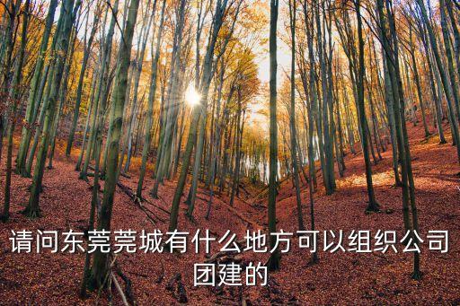 請問東莞莞城有什么地方可以組織公司團建的