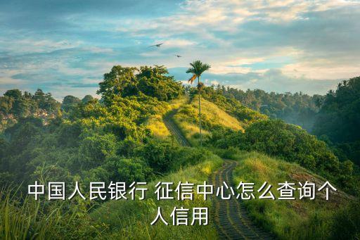 中國人民銀行征信,中國人民銀行征信中央網站怎么做?