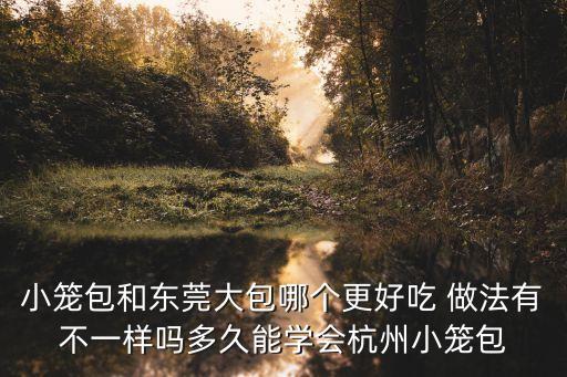 小籠包和東莞大包哪個更好吃 做法有不一樣嗎多久能學(xué)會杭州小籠包