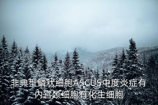 非典型鱗狀細胞ASCUS中度炎癥有內宮頸細胞有化生細胞