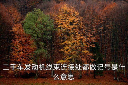 二手車發(fā)動機線束連接處都做記號是什么意思