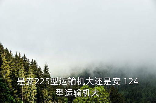 是安225型運輸機大還是安 124型運輸機大