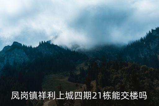 鳳崗鎮祥利上城四期21棟能交樓嗎