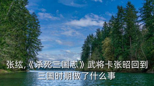 張昭張纮,《殺死三國(guó)志》武將卡張昭回到三國(guó)時(shí)期做了什么事?