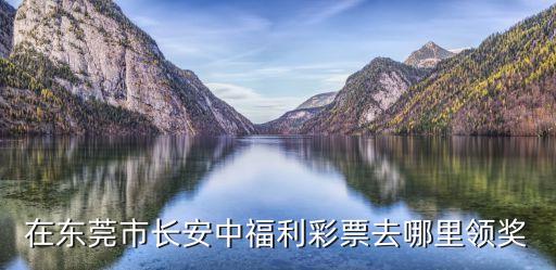 東莞中彩票在哪里兌獎，在東莞市長安中福利彩票去哪里領(lǐng)獎