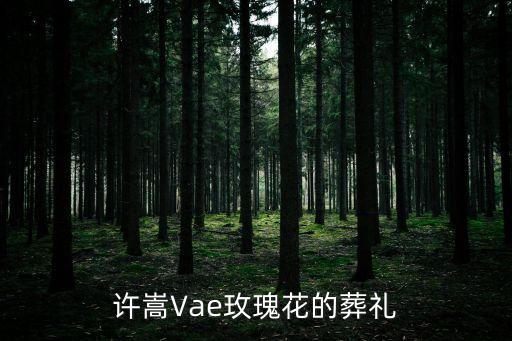 許嵩Vae玫瑰花的葬禮