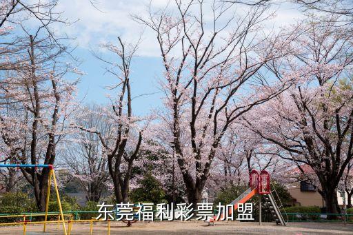 東莞長安彩票店還沒開店，東莞哪里有尼彩的分店長安有沒有