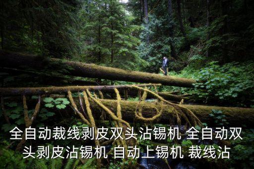全自動(dòng)裁線剝皮雙頭沾錫機(jī) 全自動(dòng)雙頭剝皮沾錫機(jī) 自動(dòng)上錫機(jī) 裁線沾