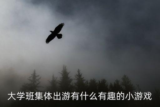 班級游戲，大學班集體出游有什么有趣的小游戲