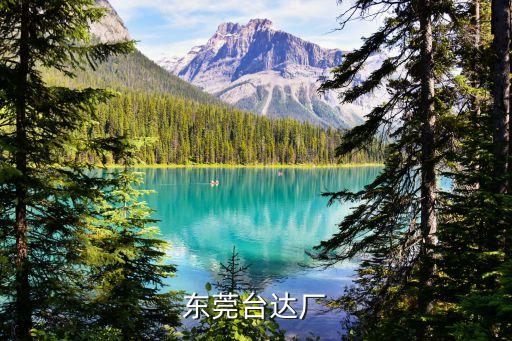 東莞臺達(dá)廠