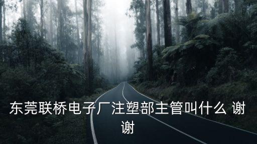 東莞聯橋電子廠注塑部主管叫什么 謝謝