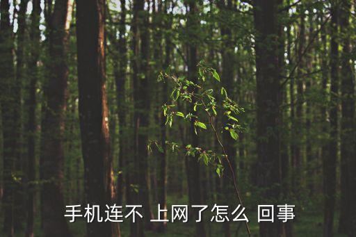  手機連不 上網了怎么 回事