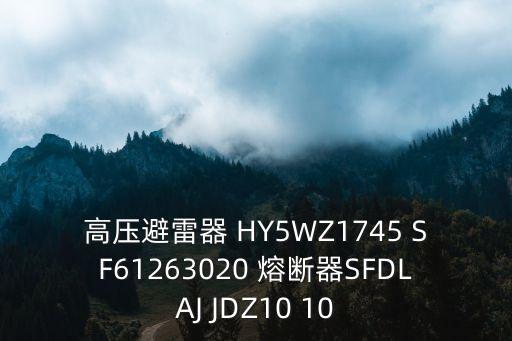 高壓避雷器 HY5WZ1745 SF61263020 熔斷器SFDLAJ JDZ10 10