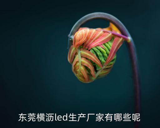 東莞橫瀝led生產(chǎn)廠家有哪些呢