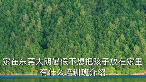 東莞暑假幼兒封閉式培訓，東莞樂之教育有沒有暑期輔導班