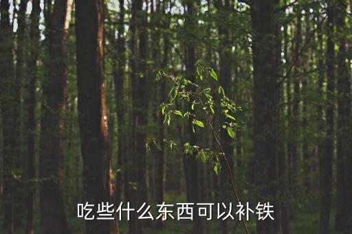 吃些什么東西可以補鐵