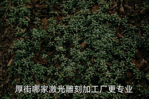 厚街哪家激光雕刻加工廠更專業