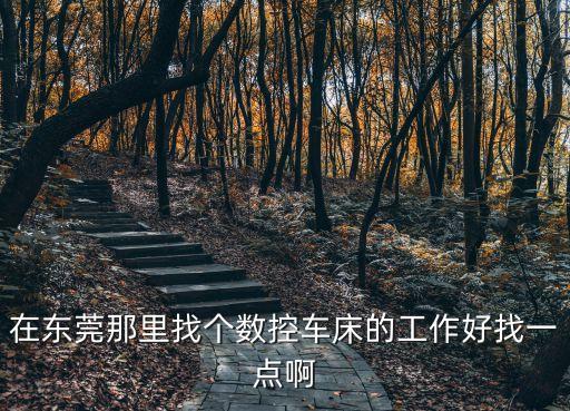在東莞那里找個數控車床的工作好找一點啊