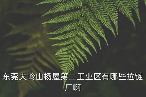 東莞大嶺山楊屋第二工業(yè)區(qū)有哪些拉鏈廠啊