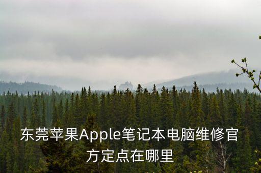 東莞蘋果維修網(wǎng)址，東莞蘋果維修點在哪
