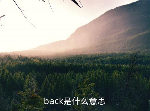 back什么意思,第二人稱單詞:用某物加固背部