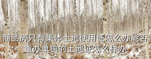 商品房只有集體土地使用證怎么辦能否重辦單獨的土地證怎么樣辦
