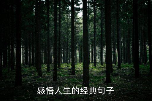 很現(xiàn)實的人生感悟說說，最實在的十句經(jīng)典人生感悟 你喜歡那一句