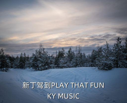 新丁駕到，新丁駕到PLAY THAT FUNKY MUSIC