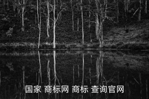 中國商標查詢,國家知識產權局商標局中國商標網發布商標爭議