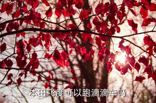 飛度可以在東莞跑滴滴嗎，本田飛度能不能跑滴滴