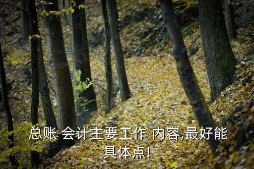  總賬 會計主要工作 內容,最好能具體點!