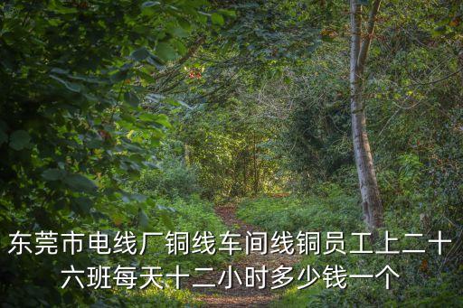 東莞市電線廠銅線車間線銅員工上二十六班每天十二小時多少錢一個