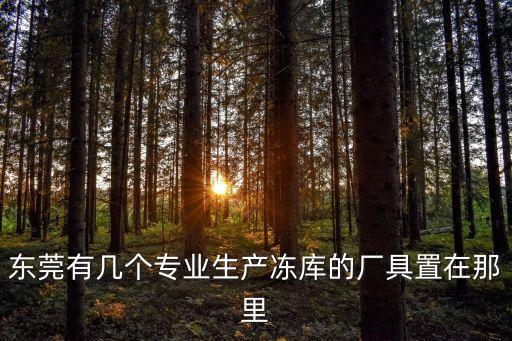 東莞有幾個專業生產凍庫的廠具置在那里