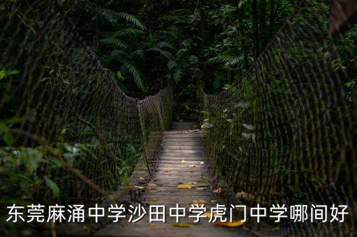 東莞麻涌中學沙田中學虎門中學哪間好
