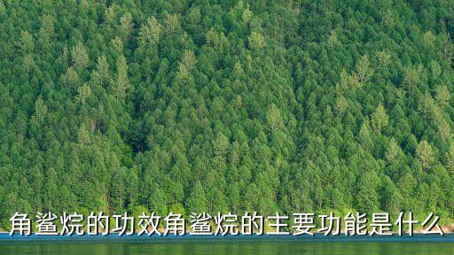 角鯊烷的功效，角鯊烷油的功效是什么琺資角鯊烷美容油可以用在護膚哪步