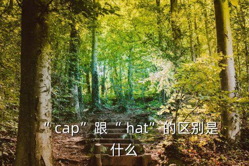 “ cap”跟“ hat”的區(qū)別是什么
