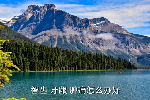 長智齒牙齦腫痛怎么辦