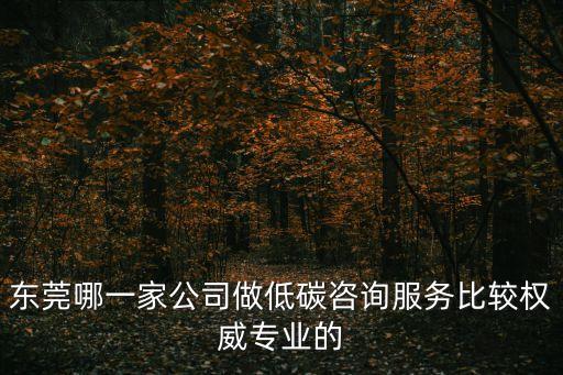 東莞哪一家公司做低碳咨詢服務比較權威專業的