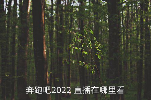 直播真人秀,中國之聲:邀請多名電競主播和狼人殺玩家一起來玩