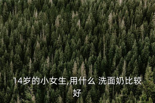 黃瓜洗面奶,先用洗面奶洗臉再用熱毛巾擦拭去除污垢和油脂