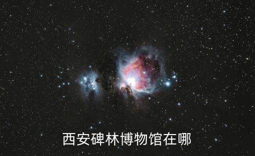 西安碑林博物館在哪