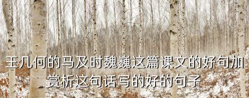 王幾何的馬及時魏巍這篇課文的好句加賞析這句話寫的好的句子