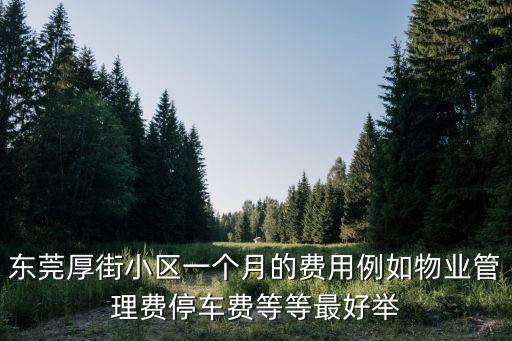 在東莞停車費每月多少錢一個月，東莞交警扣車的停車費是多少